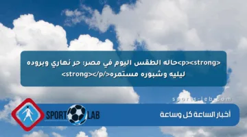 <p><strong>حالة الطقس اليوم في مصر: حر نهاري وبرودة ليلية وشبورة مستمرة</strong></p>